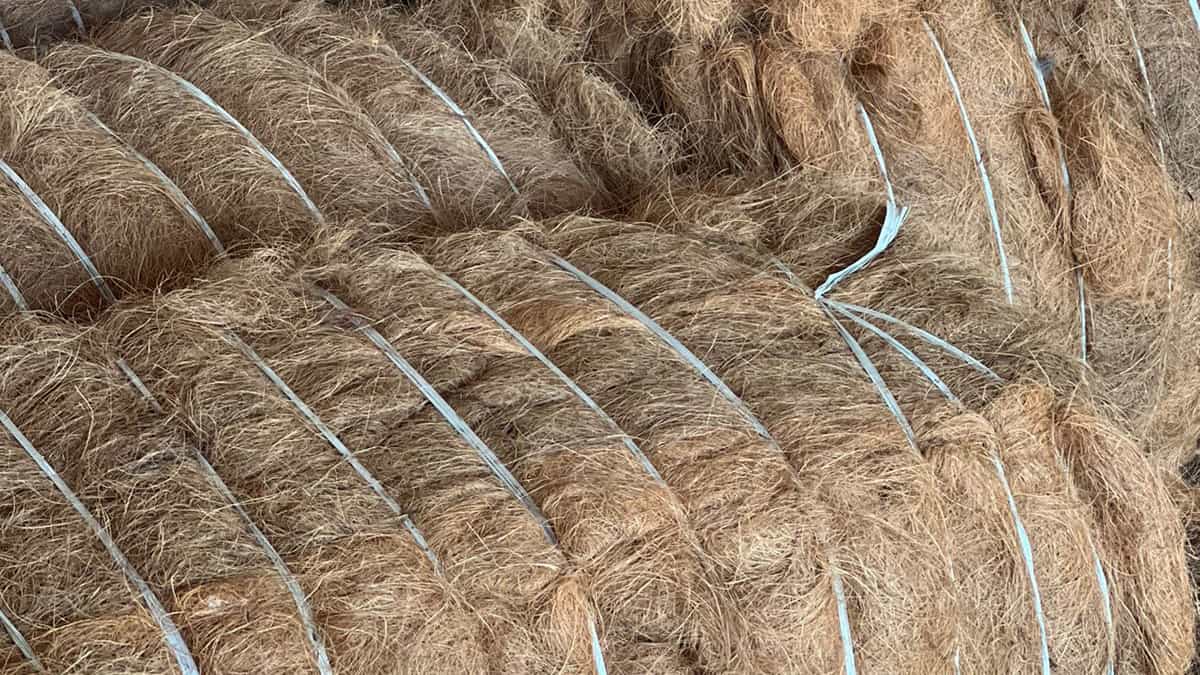 Coir making